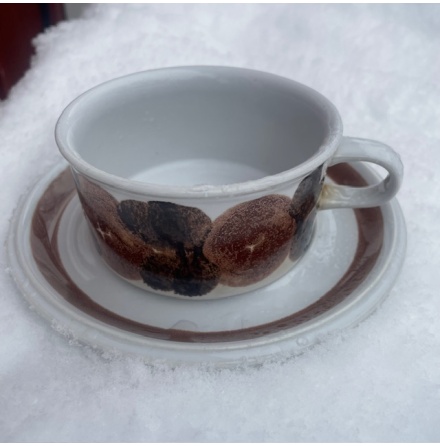 TEKOPP ROSMARIN ARABIA